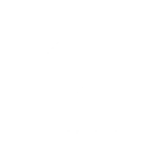Twinlite